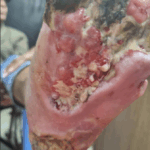 Captura de pantalla 2025-06-14 110252