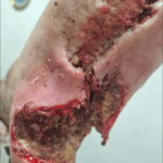 Captura de pantalla 2025-06-14 110311